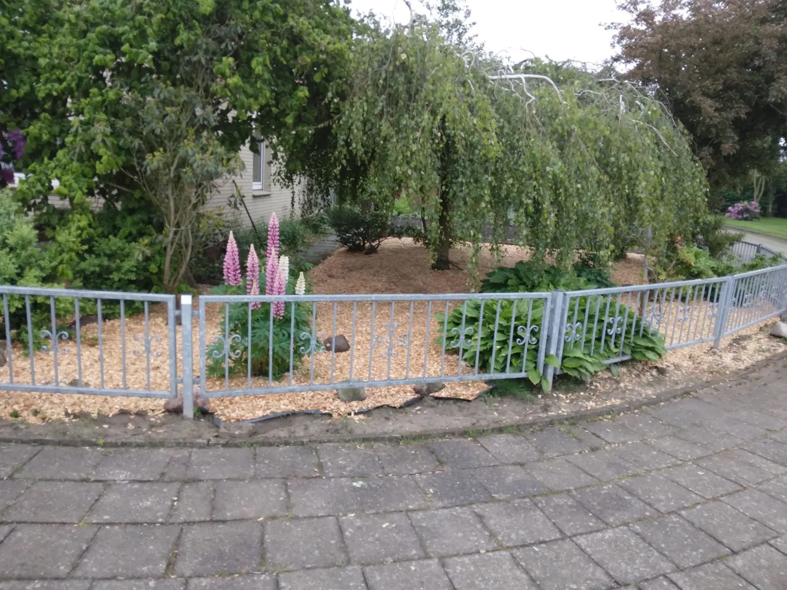 Angelegtes Mulchbeet mit Zierstauden und Metallzaun